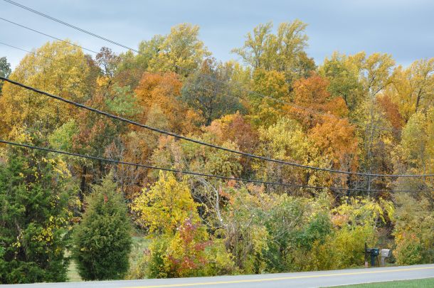 The view from the front porch