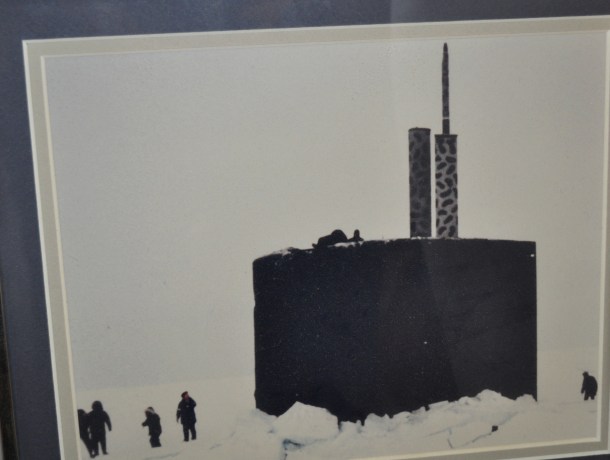 repicturing and dinner and birds whatever 050