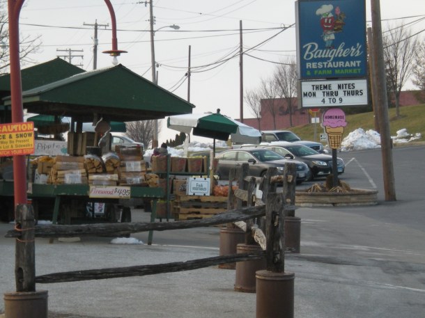 trees and baughers 019