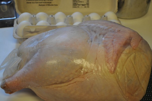 fall and winter csa 004