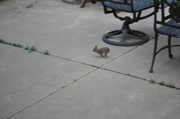 may 2011 download 143