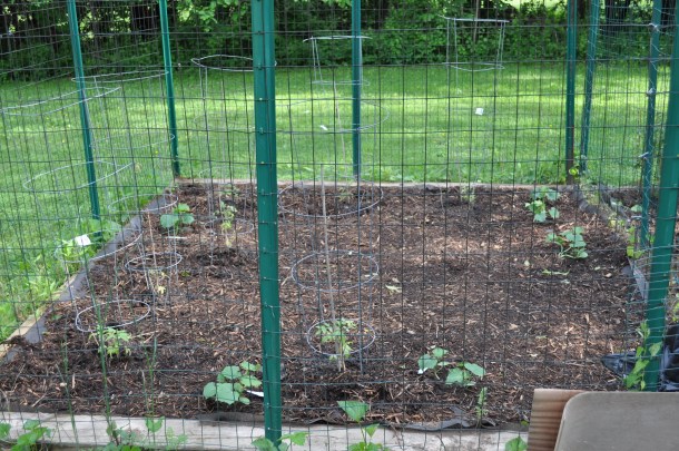 may 2011 download 155