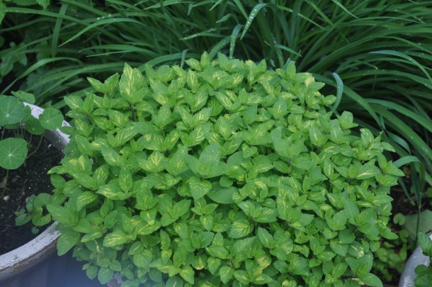 may 2011 download 179