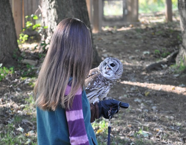 october 2010 mostly birds 329