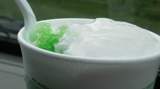 conservancy and snowball stand 061