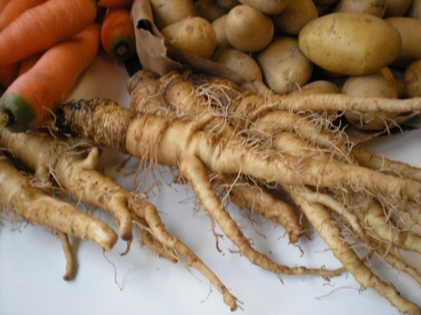 week seven csa and trees 030