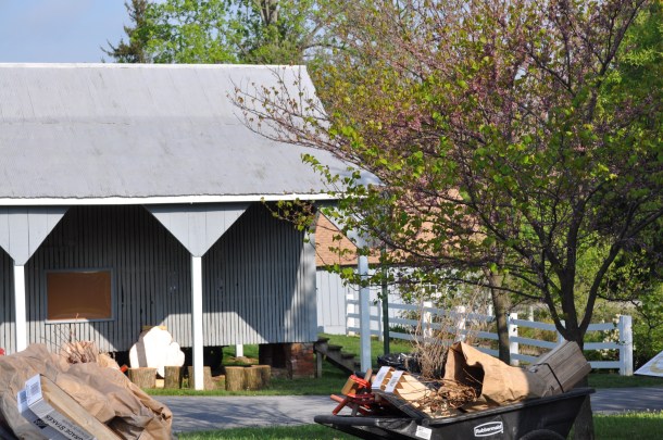 earth day and herbs 005