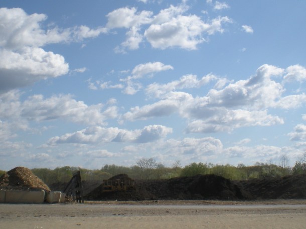 easter, landfill and roots 010