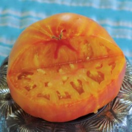 pineapple tomato Baker Creek seeds