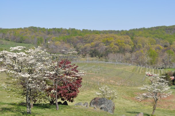 wineries and csa week sixteen 087