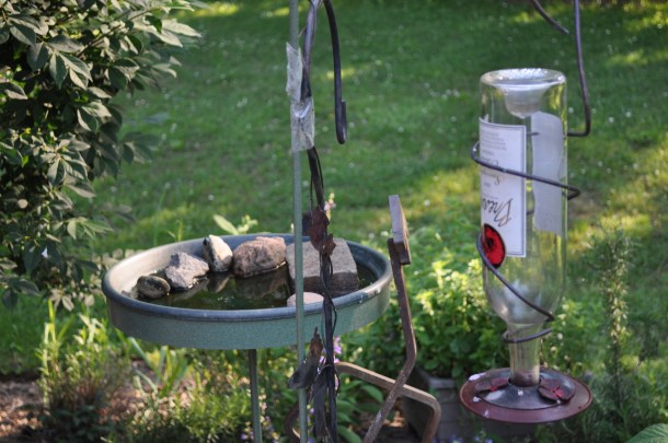 breakfast al fresco 003
