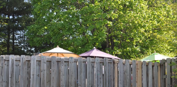 brighton dam and glenelg 057