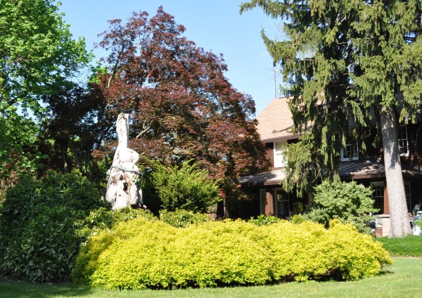 brighton dam and glenelg 076