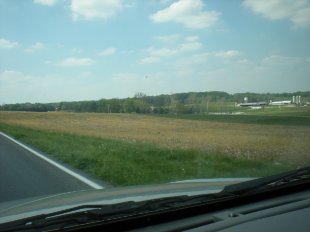 clean up and sharps 044