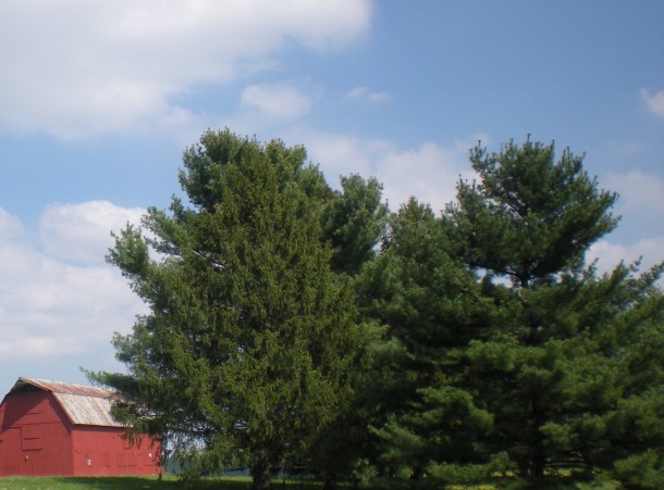 clean up and sharps 058