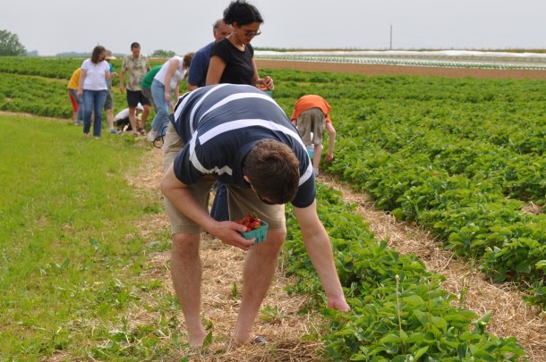 CSA picnic and plants 117