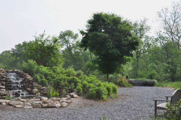flowering the 15th and miller market 007