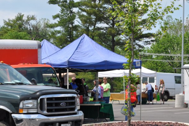 flowering the 15th and miller market 070