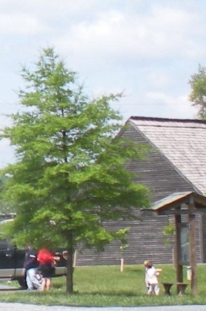 i spy nature and csa week one summer 020