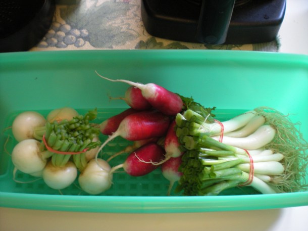 i spy nature and csa week one summer 175