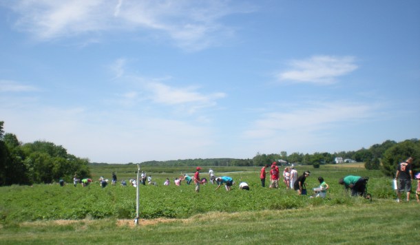 larriland and hocohospital market 019