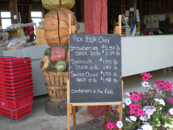 larriland and hocohospital market 031