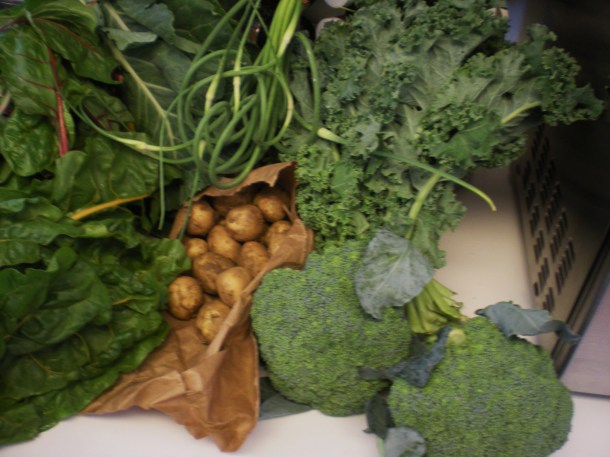 summer csa week 4 021