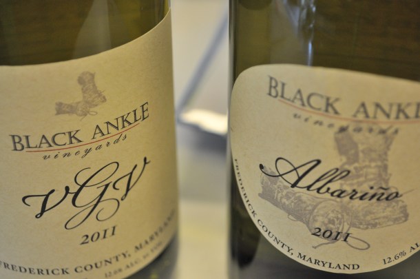 bunnies and dinner 103