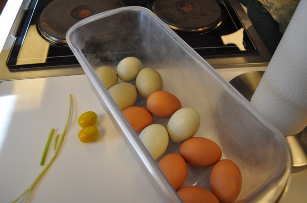 flowers and garden 106