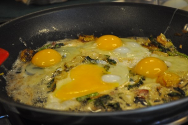 flowers and garden 114