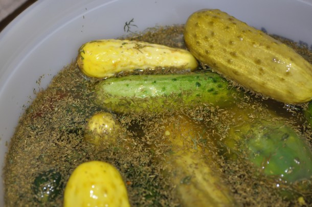 grilling pickling and csa 108