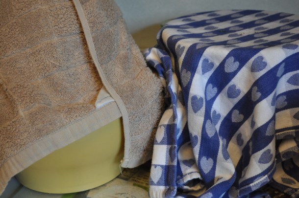 grilling pickling and csa 116