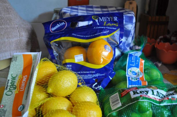 newest garden and field day prep stuff 027