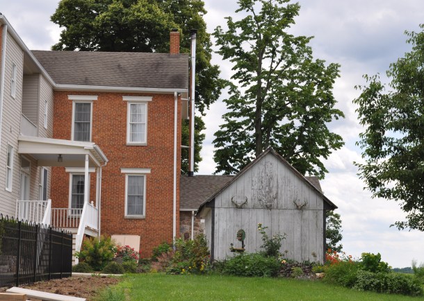 scapes, markets and veggies 204