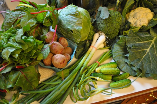 summer csa week 5 028