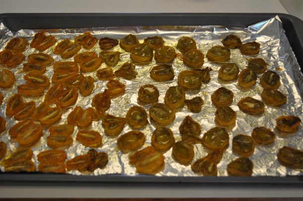 CSA and freezing and gazpacho 050