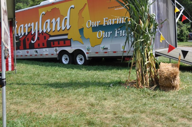 fair and anniversary and csa 087