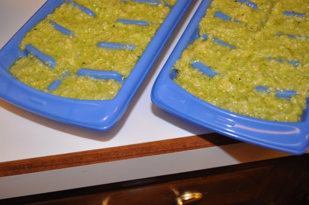 scapes, markets and veggies 020