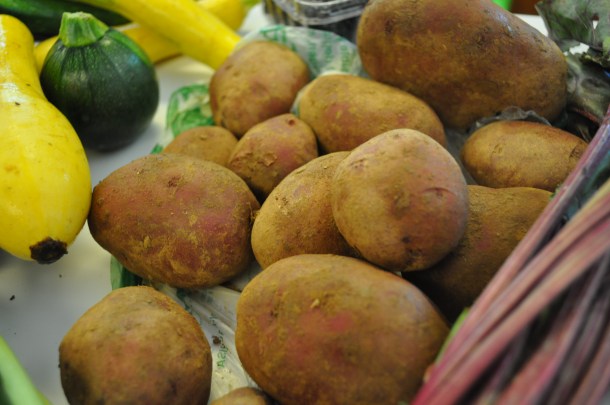 summer csa week 13 and local foods 079