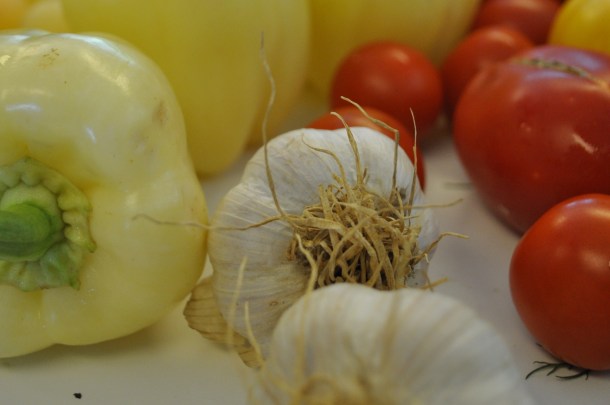 summer csa week 13 and local foods 082