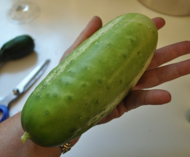 use up the csa dinner 042