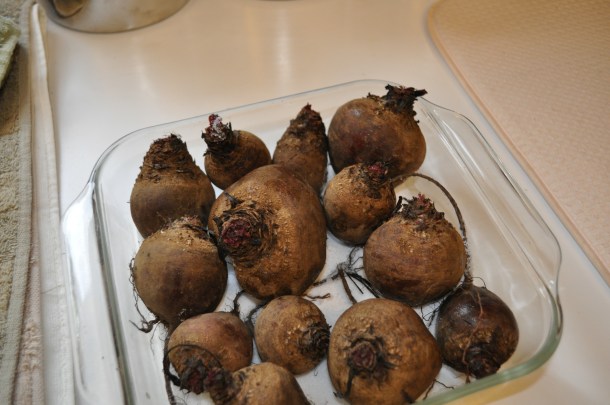 lamb and flowers 030