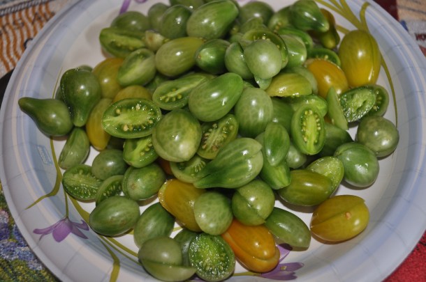 monday night dinner and freezing stuff 009