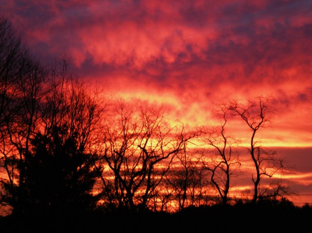 dark days week one 010