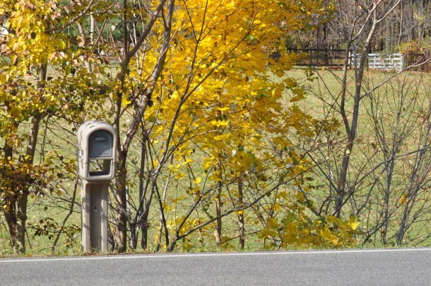 fall foliage and traffic 128
