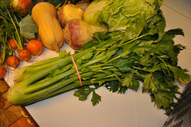 fall plus csa week 3 2012 060