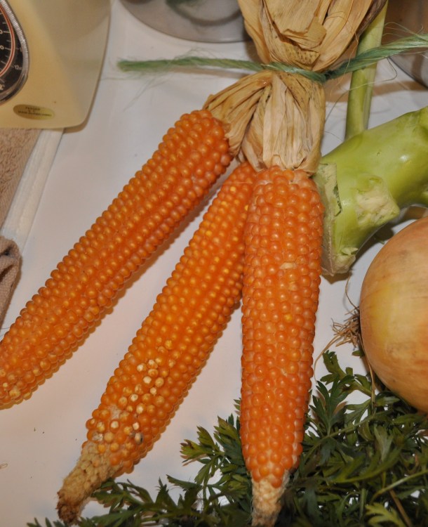 fall plus csa week 3 2012 066