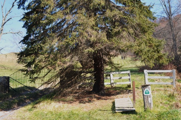 linden and glen manor in the fall 009