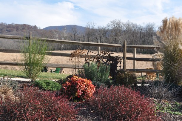 linden and glen manor in the fall 038