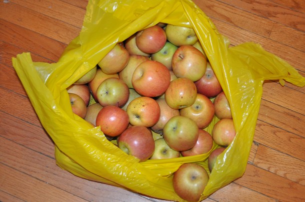 market saturday last one and west county 082